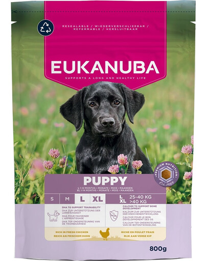 EUKANUBA Puppy Large Breeds Chicken 800 g sausa maistas didelių veislių šuniukams, turintis šviežio vištienos