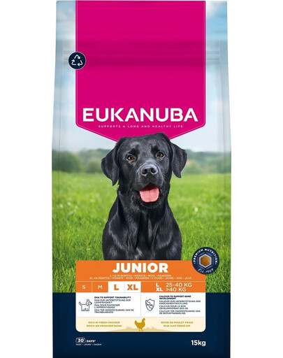 EUKANUBA Junior Large Breeds Chicken 15 kg sausas maistas jauniems didelių veislių šunims, turintis šviežio vištienos