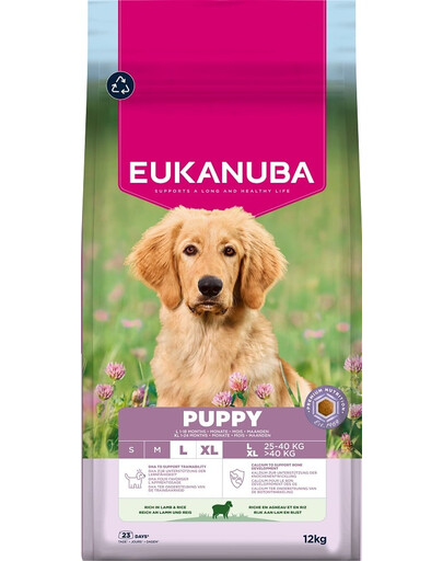 EUKANUBA Puppy Large Breeds Lamb Rice 12 kg sausas maistas didelių veislių šuniukams, turintis avienos ir ryžių