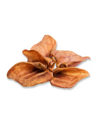 Ucho wieprzowe 1szt. naturalny gryzak dla psa