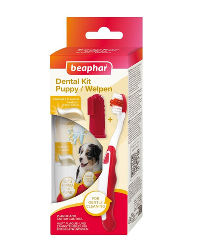 BEAPHAR Puppy Dental Kit šepetys ir dantų pasta 50 g šuniukams