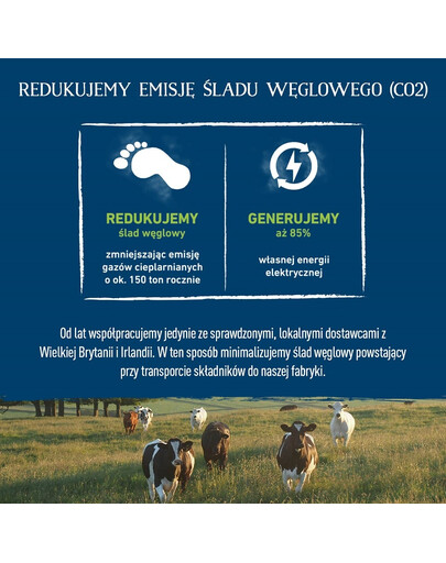 BUTCHER'S Original Tripe Mix, karma dla psa, ze żwaczem, pasztet, 1200g