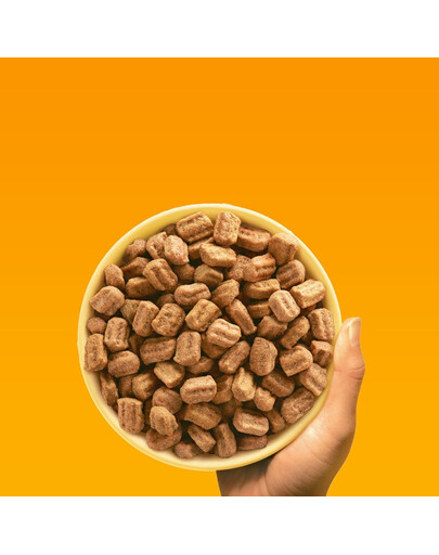 PEDIGREE Professional Nutrition Adult Maxi su Vištiena ir Daržovėmis 12 kg didelių veislių šunims