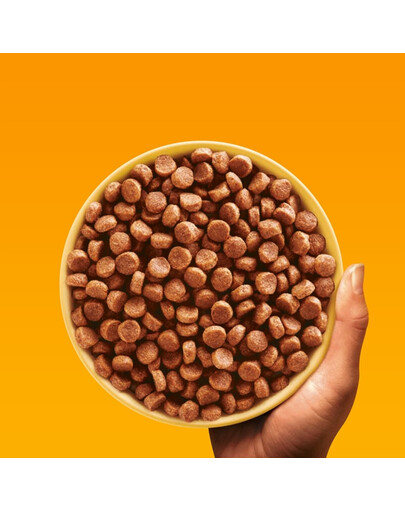 PEDIGREE Professional Nutrition Junior su Vištiena ir Daržovėmis 12 kg vidutinių ir didelių veislių šuniukams