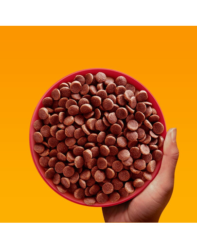 PEDIGREE Professional Nutrition Adult Mini su Jautiena ir Daržovėmis 12 kg mažų veislių šunims