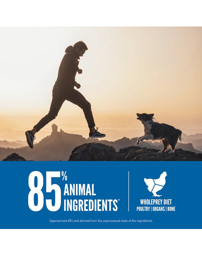 ORIJEN Original Dog 11,4 kg