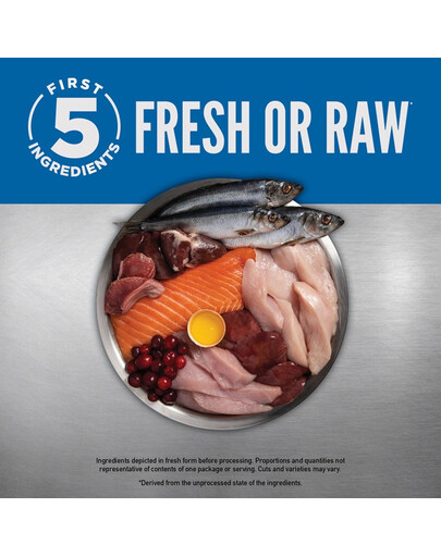 ORIJEN Original Dog 11,4 kg