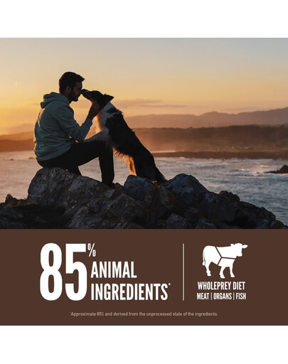 ORIJEN Regional Red 11,4 kg