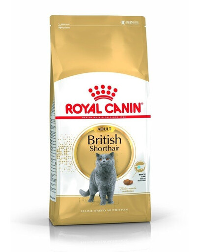 ROYAL CANIN British Shorthair Sausas maistas suaugusiems britų trumpaplaukiams katėms, 12 x 400 g