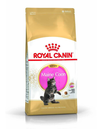 ROYAL CANIN Maine Coon Kitten 12 × 400 g – sausas ėdalas Meino meškėnų veislės kačiukams iki 15 mėnesių amžiaus