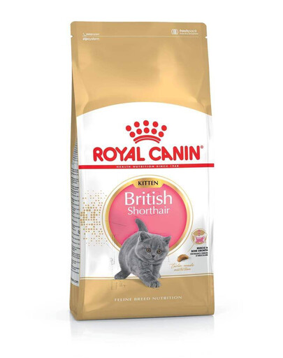 ROYAL CANIN British Shorthair Kitten 6x400 g sausas maistas kačiukams iki 12 mėnesių, britų trumpaplaukės veislės
