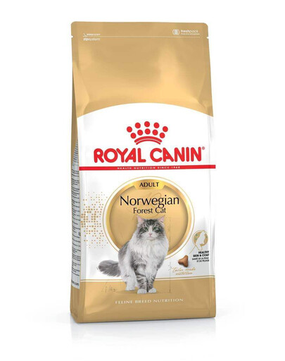 ROYAL CANIN Norvegian 2x2 kg sausas maistas suaugusiems norvegų miško kačių veislės katėms
