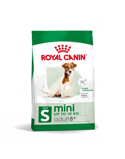ROYAL CANIN Mini Adult 8+ 12x800 g sausas maistas šunims, vyresniems nei 8–12 metų, mažų veislių