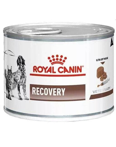 ROYAL CANIN Vet dog/cat recovery 24x195 g šlapias maistas šunims ir katėms intensyvios terapijos metu, po chirurginių operacijų ir reabilitacijos laikotarpiu