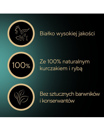 SHEBA Filets su vištiena ir tunu padaže 60 g drėgnas maistas katėms