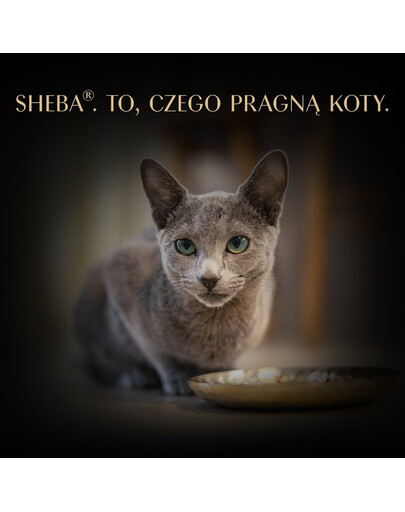SHEBA Filets su vištiena ir tunu padaže 60 g drėgnas maistas katėms