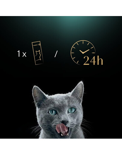 SHEBA Creamy Snacks skanėstai katėms su vištiena 4x12g