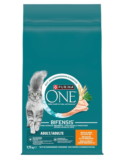 ONE Bifensis Adult Cat Chicken and Wheat 9,75 kg kurczak i pszenica, sucha karma dla kotów