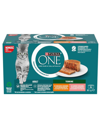 PURINA ONE Adult Terrine 4x85g su vištiena ir morkomis bei su lašiša ir morkomis, drėgnas kačių maistas