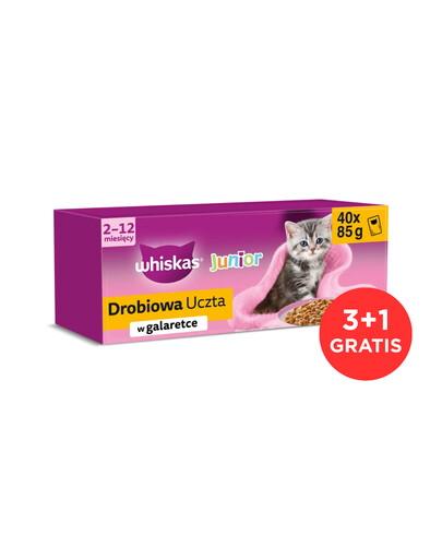WHISKAS Junior 120x85 g šlapias maistas su vištiena, antiena, paukštiena ir kalakutiena želatinoje kačiukams + 40 maišelių NEMOKAMAI