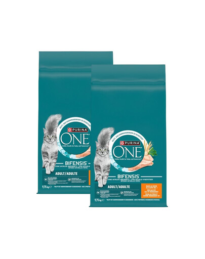 PURINA ONE Bifensis Adult Cat Chicken and Wheat 19,5kg (2x9,75 kg) kurczak i pszenica, sucha karma dla kotów