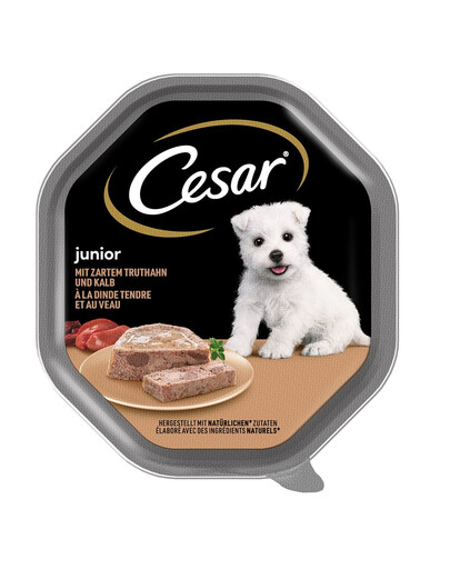 CESAR Junior 28 x 150 g kalakutienos ir veršienos paštetas šuniukams nuo 14 metų NEMOKAMAI