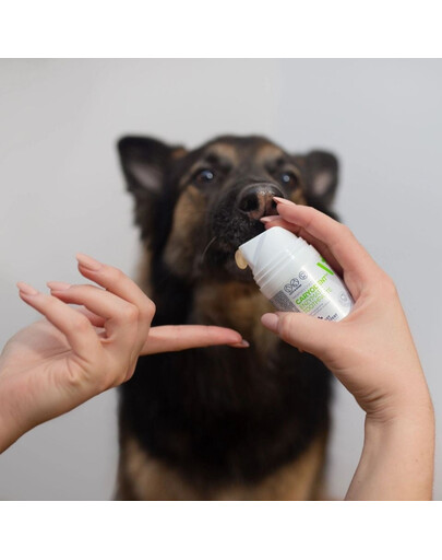 VET EXPERT Caryodent Enzymatic Toothpaste 50 ml enzymatyczna pasta do zębów dla psa i kota