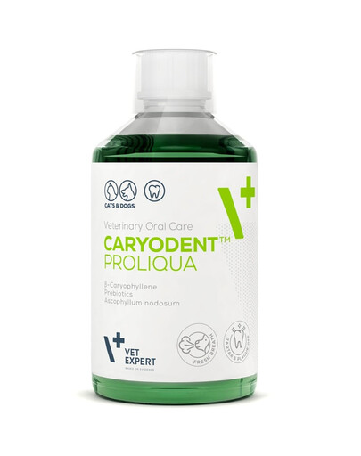 VET EXPERT Caryodent Proliqua 250 ml płyn do higieny jamy ustnej dla psa i kota