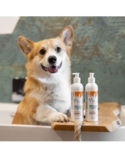 VET EXPERT Detox Care Vitalizing Shampoo 250 ml szampon dla psów i kotów także z matową sierścią