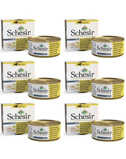 SCHESIR Fruit vištiena su ananasais 6x150 g