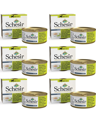 SCHESIR Fruit Vištiena su obuoliais 6x150G