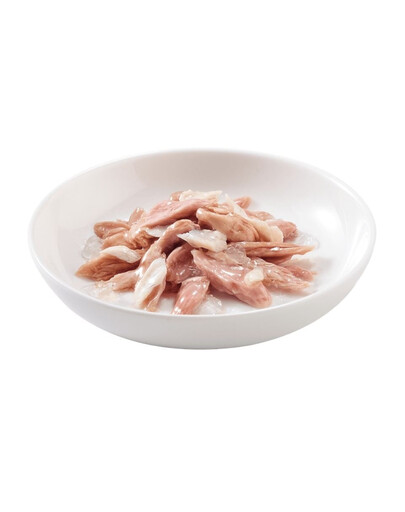 SCHESIR Complements Tunas su heku želatinoje, 70 g maišelis – papildomas šlapias maistas katėms