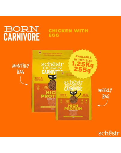 SCHESIR Born Carnivore Vištiena su kiaušiniu, 1,25 kg, sausas maistas suaugusiems katėms