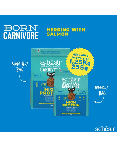 SCHESIR Born Carnivore Šliužė ir lašiša, 1,25 kg, sausas maistas suaugusiems katėms