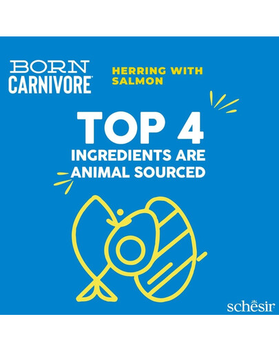 SCHESIR Born Carnivore Šliužė ir lašiša, 1,25 kg, sausas maistas suaugusiems katėms
