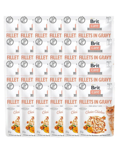 Care Fillets in gravy kurczak 24 x 85 g filety kurczaka w sosie