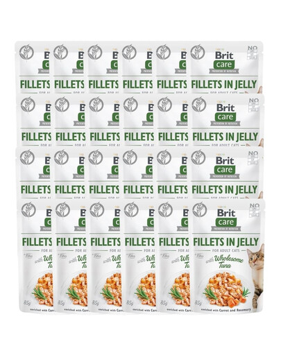 Care Fillets in Jelly tuńczyk saszetki dla kota 24 x 85 g