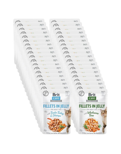 BRIT Care Fillets in Jelly Mix 48 x 85 g skonių: kalakutiena ir krevetės, tunas katėms