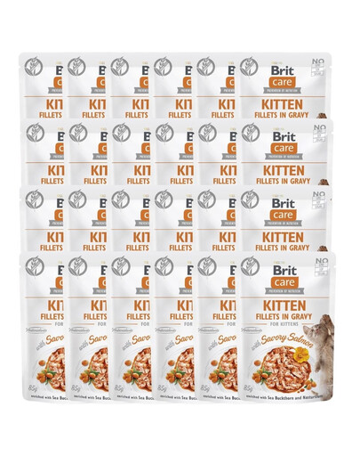 BRIT Care Fillets in Gravy Kitten Mix 48 x 85 g skonių: kalakutiena ir lašiša padaže kačiukams