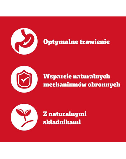 PEDIGREE Senior Wybór Smaków w Galaretce, 40 x 100 g