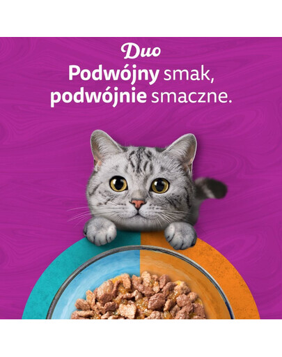 WHISKAS DUO Adult Karma mokra Z Lądu i Oceanu w galaretce, 40 x 85 g mokra karma dla kota