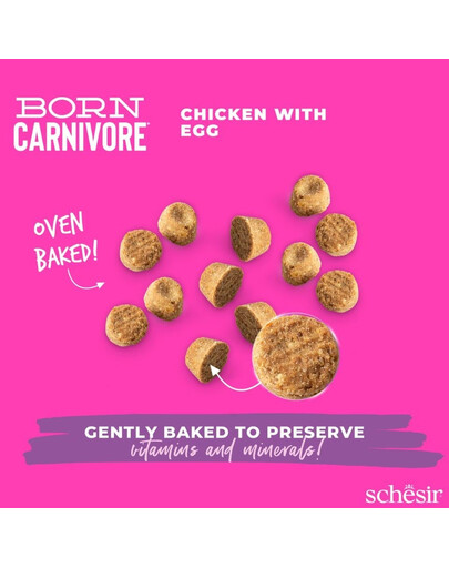 SCHESIR Born Carnivore Vištiena su kiaušiniu, 255 g sausas maistas kačiukams