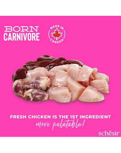 SCHESIR Born Carnivore Vištiena su kiaušiniu, 255 g sausas maistas kačiukams
