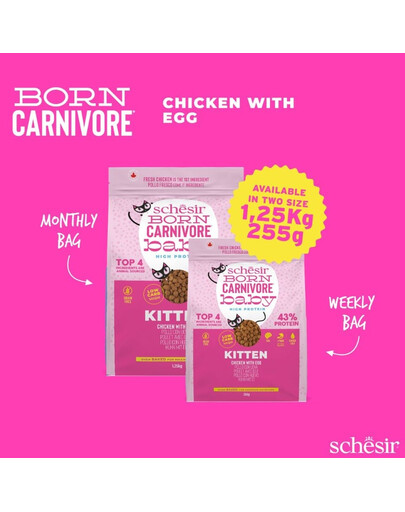 SCHESIR Born Carnivore Vištiena su kiaušiniu, 255 g sausas maistas kačiukams