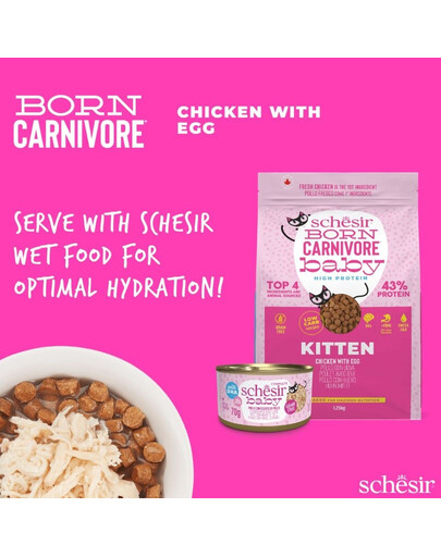 SCHESIR Born Carnivore Vištiena su kiaušiniu, 255 g sausas maistas kačiukams