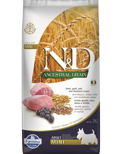 FARMINA N&D Ancestral Grain Adult Mini Dog su ėriena ir mėlynėmis 7 kg, ėdalas mažų veislių šunims + FARMINA N&D Quinoa Dental Treat Flatulence Mini 60 g (7 vnt.) DOVANŲ!