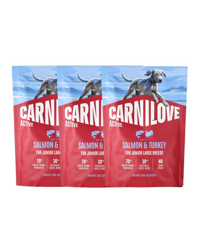 CARNILOVE Active Dog Salmon and Turkey Junior Large Breeds 3x1,5 kg łosoś i indyk, dla dorastających juniorów ras dużych