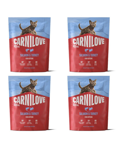 CARNILOVE Active Cat Salmon & Turkey for Kittens 4 x 400 g – sausas pašaras su lašiša ir kalakutiena visų veislių kačiukams