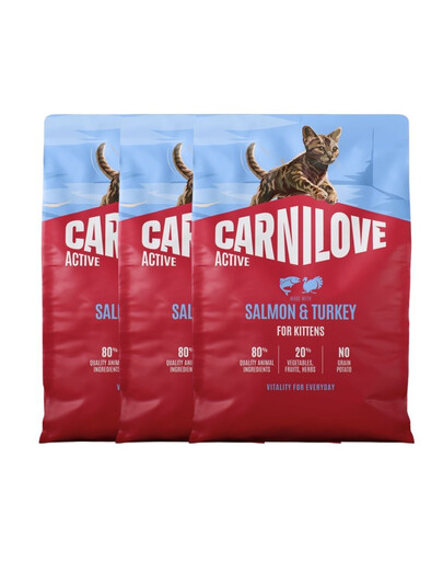 CARNILOVE Active Cat Salmon and Turkey for Kittens 3x2 kg lašiša ir kalakutas, visų veislių kačiukams