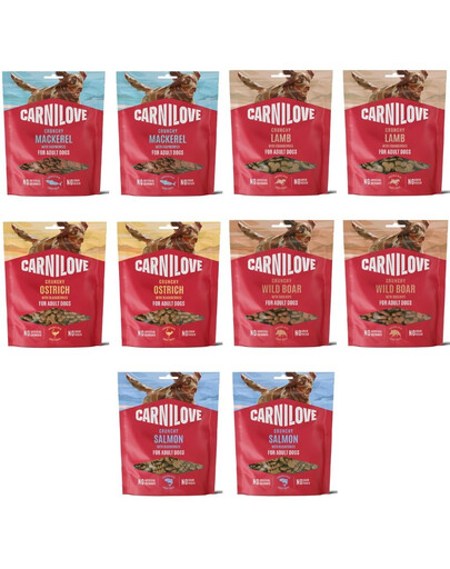 CARNILOVE Dog Crunchy Snack Mix Smaków 10x200g chrupiące przysmaki dla dorosłych psów